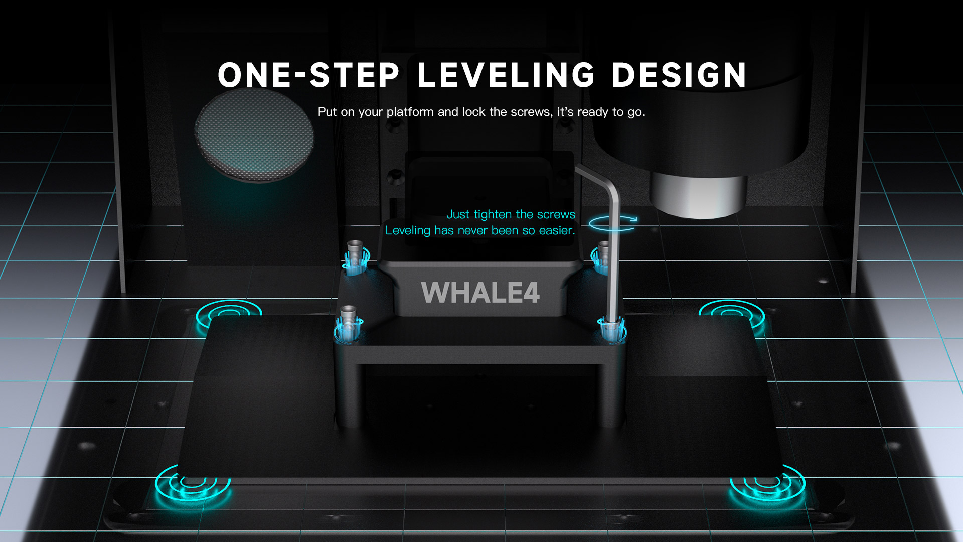 Whale4.jpg