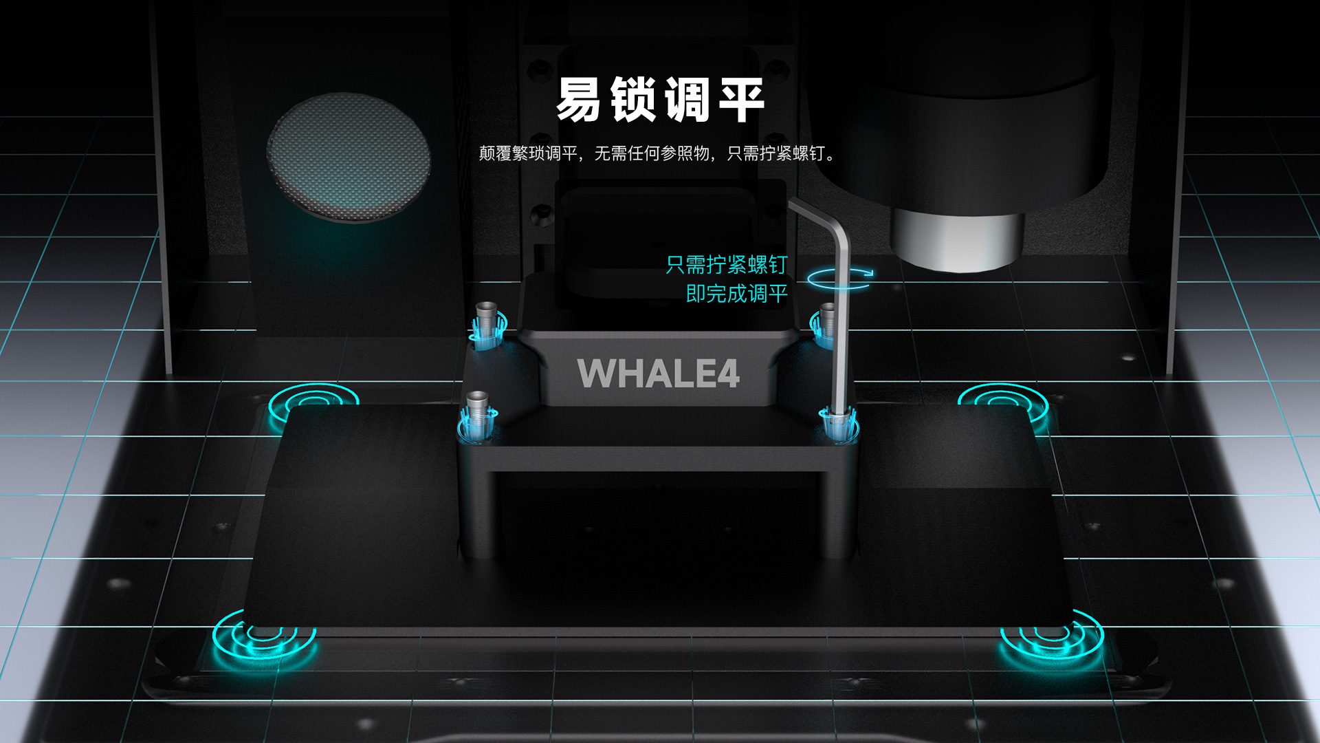 Whale4.jpg
